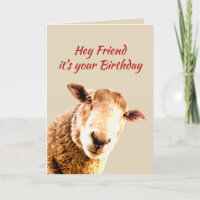 Friend Birthday Funny Sheep Animal Humor