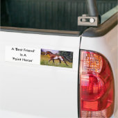 Friend Paint Horse Bumpersticker (Op Truck)