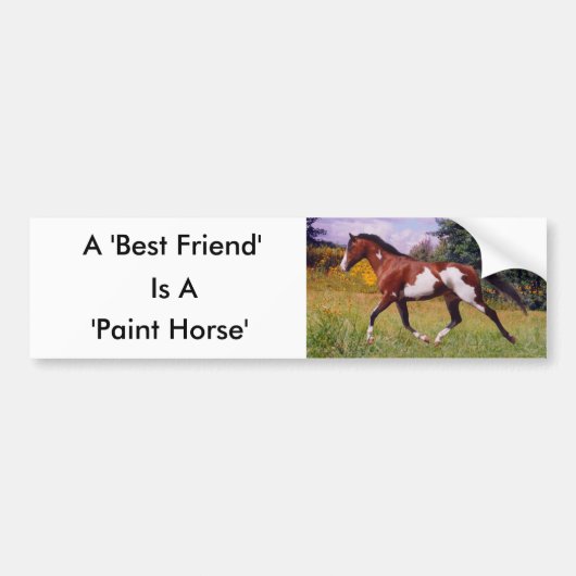 Friend Paint Horse Bumpersticker (Voorkant)