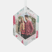 Friend Photo Doodle Trees Hexagon Glass Ornament (Voorkant links)