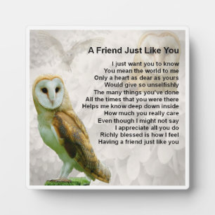 Friend Poem Plaque - Owl design Fotoplaat
