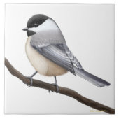 Friendly Black Capped Chickadee Bird Tile Tegeltje (Voorkant)