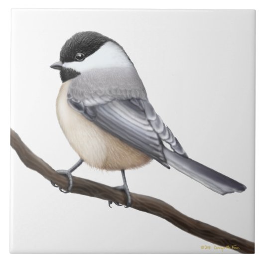Friendly Black Capped Chickadee Bird Tile Tegeltje (Voorkant)