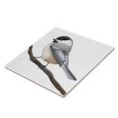 Friendly Black Capped Chickadee Bird Tile Tegeltje (Zijkant)