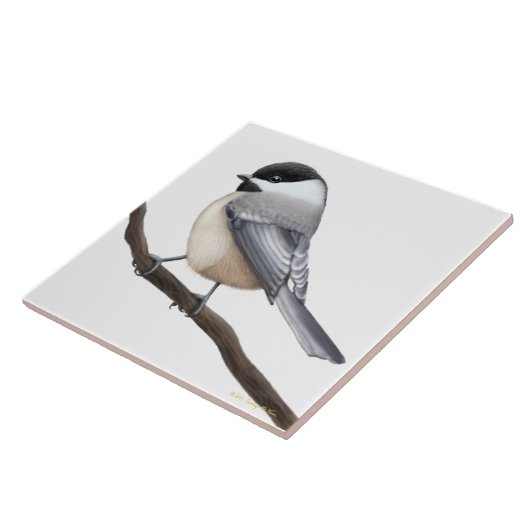 Friendly Black Capped Chickadee Bird Tile Tegeltje (Zijkant)
