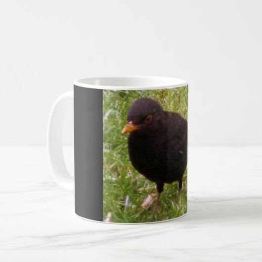 Friendly Blackbird Mok (Voorkant links)
