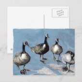 Friendly Canada Geese 2012 Briefkaart (Voorkant / Achterkant)