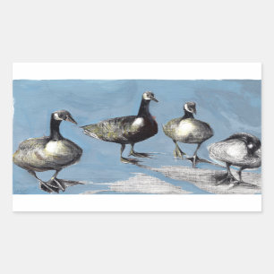 Friendly Canada Geese 2012 Rechthoekige Sticker