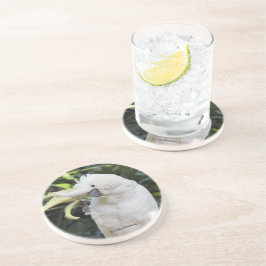 Friendly Cockato Parrot Bird Waves op Paparazzi Zandsteen Onderzetter