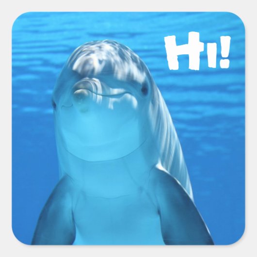 Friendly Dolphin Stickers (Voorkant)