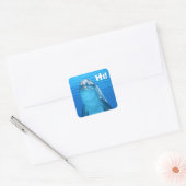 Friendly Dolphin Stickers (Envelop)