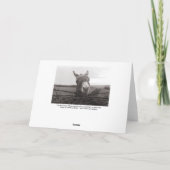 Friendly Donkey -  foto Kaart (Achterkant)