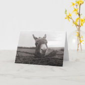 Friendly Donkey -  foto Kaart (Gele Bloem)