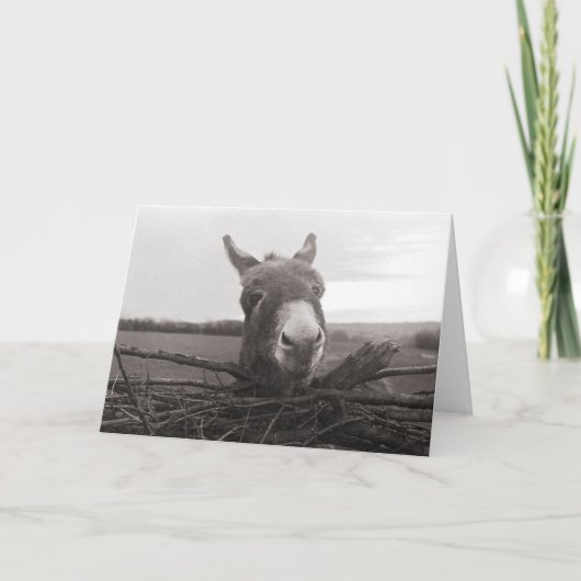 Friendly Donkey -  foto Kaart (Voorkant)