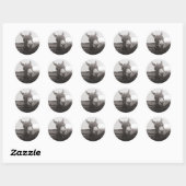 Friendly Donkey - foto Ronde Sticker (Vel)
