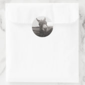 Friendly Donkey - foto Ronde Sticker (Tas)