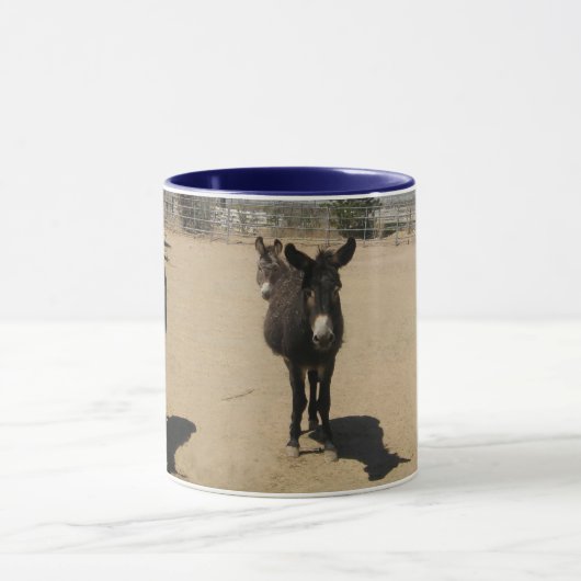 Friendly Donkey Herd Mok (Midden)