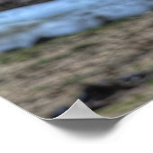 Friendly Dun Ranch Horse Photo & Poem Poster (Hoek)