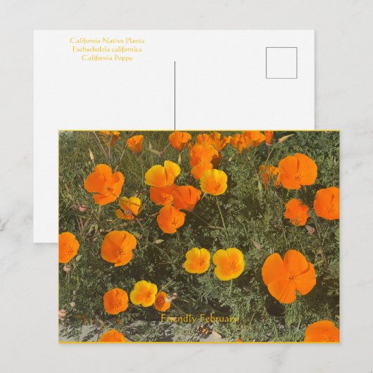 Friendly Februari Briefkaart (Voorkant / Achterkant)