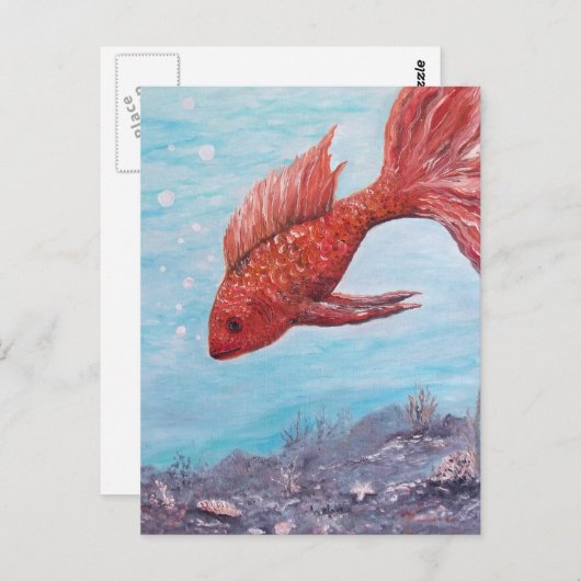 Friendly Fish Wenskaart Briefkaart (Voorkant / Achterkant)