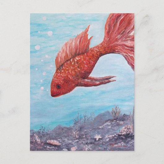 Friendly Fish Wenskaart Briefkaart (Voorkant)