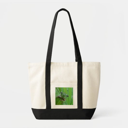 Friendly Frog Canvas tas (Voorkant)