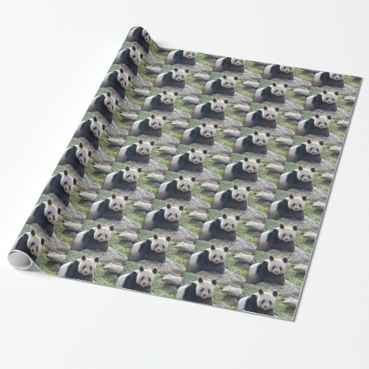 Friendly Giant Panda Cadeaupapier (Uitgerold)