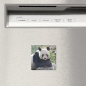Friendly Giant Panda Magneet (Insitu (Vaatwasser))