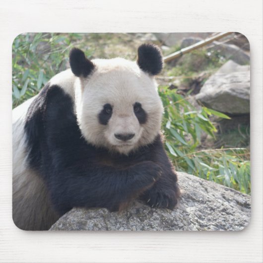 Friendly Giant Panda Muismat (Voorkant)