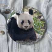 Friendly Giant Panda Ronde Button 6,0 Cm (In situ)