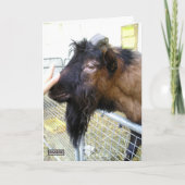 Friendly Goat Kaart (Voorkant)