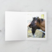 Friendly Goat Kaart (Binnen)