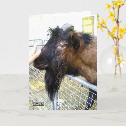 Friendly Goat Kaart (Gele Bloem)