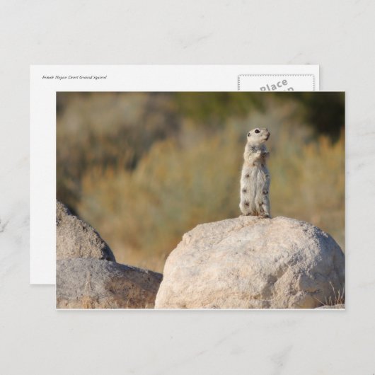 Friendly Greetings Briefkaart (Voorkant / Achterkant)