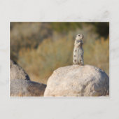 Friendly Greetings Briefkaart (Voorkant)