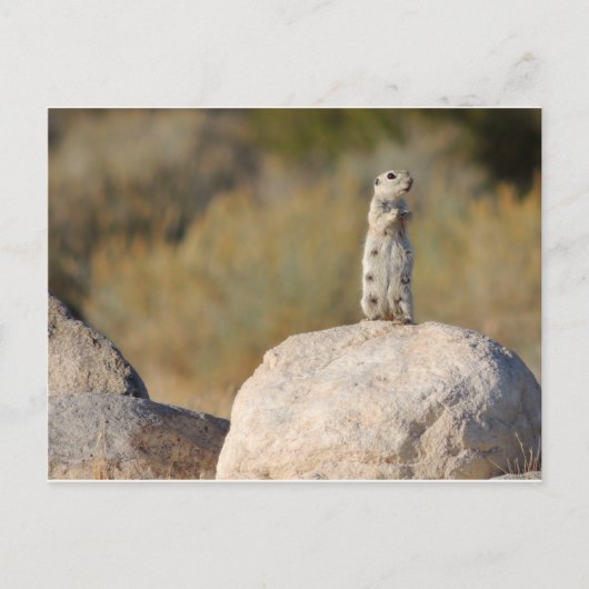 Friendly Greetings Briefkaart (Voorkant)