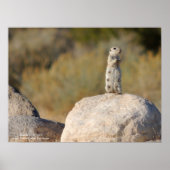 Friendly Greetings Poster (Voorkant)