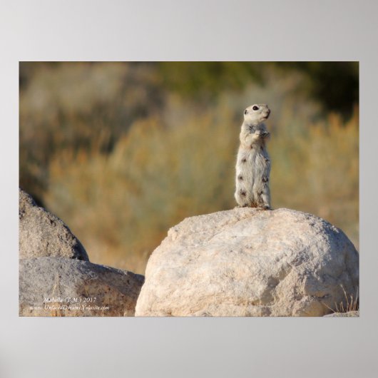 Friendly Greetings Poster (Voorkant)