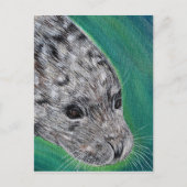 Friendly Harbour Seal Painting Briefkaart (Voorkant)