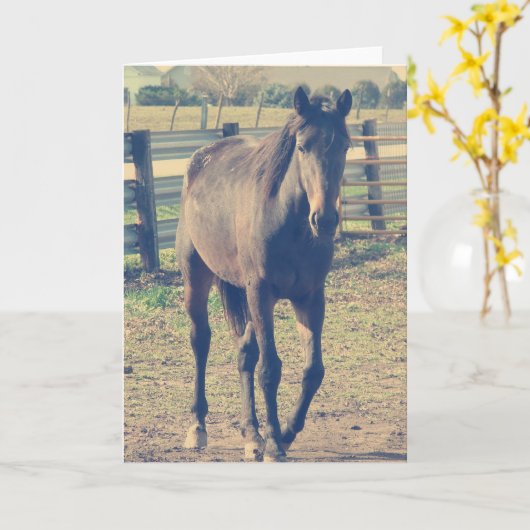 Friendly Horse Kaart (Gele Bloem)