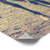 Friendly Horse, Shy Horse Poster (Hoek)