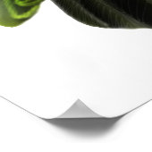 Friendly Jardines Parrot Print (Hoek)