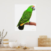Friendly Jardines Parrot Print (Keuken)