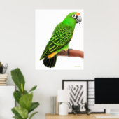 Friendly Jardines Parrot Print (Thuiskantoor)
