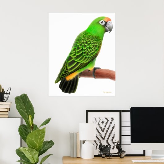 Friendly Jardines Parrot Print (Thuiskantoor)