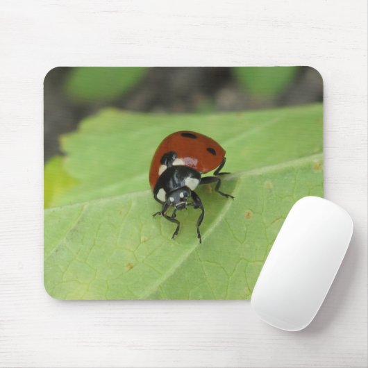 Friendly Ladybug Mousepad Muismat (Met muis)