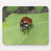 Friendly Ladybug Mousepad Muismat (Voorkant)