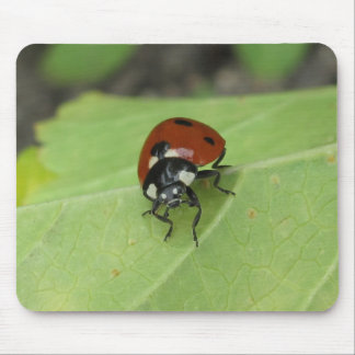 Friendly Ladybug Mousepad Muismat