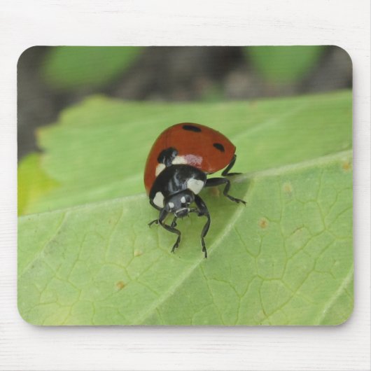 Friendly Ladybug Mousepad Muismat (Voorkant)