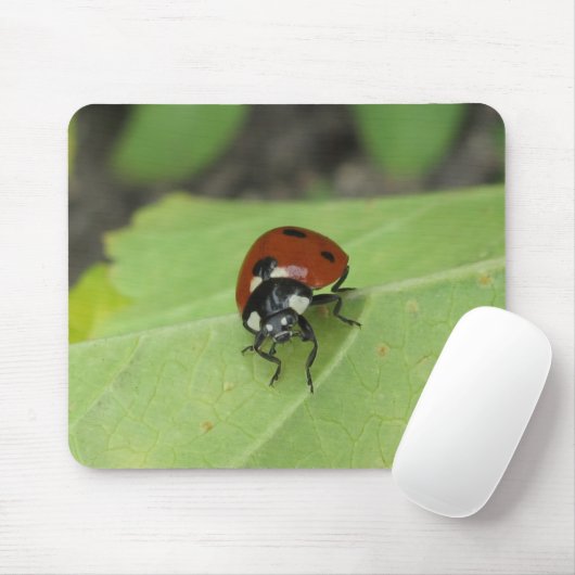 Friendly Ladybug Muismat (Met muis)
